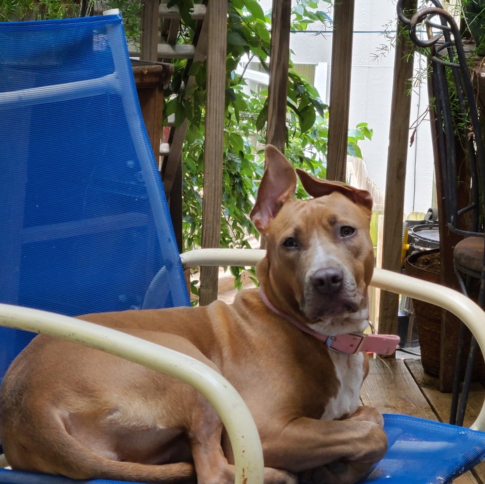 Meet your Posher, Jenifer